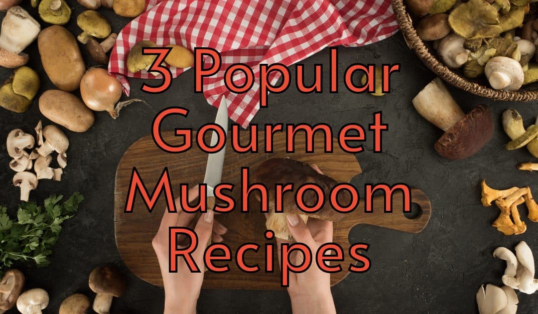 3 Popular Gourmet Mushroom Recipes